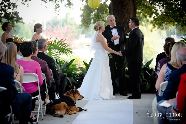 Best Winter Park Civic Center Wedding Photos - Sandra Johnson (SJFoto.com)